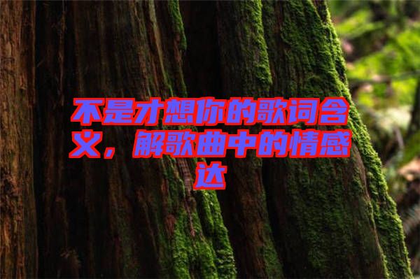 不是才想你的歌詞含義，解歌曲中的情感達