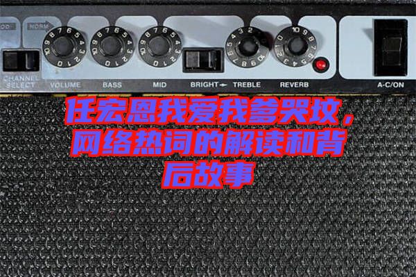 任宏恩我愛我爹哭墳，網(wǎng)絡(luò)熱詞的解讀和背后故事