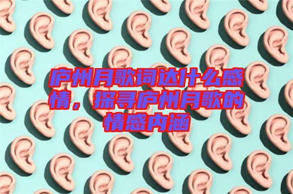 廬州月歌詞達什么感情，探尋廬州月歌的情感內涵
