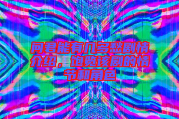 問君能有幾多愁劇情介紹，飽覽該劇的情節(jié)和角色