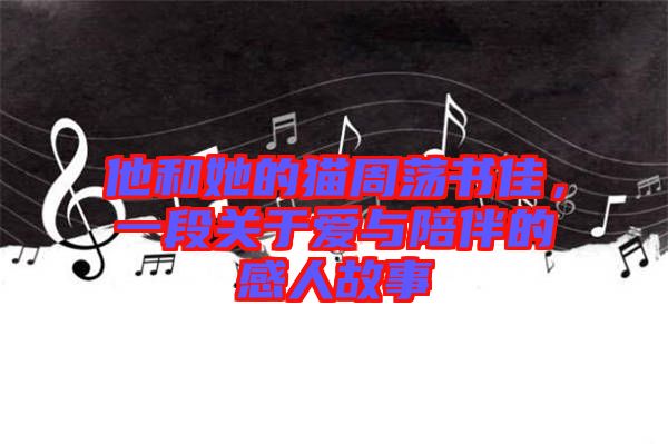 他和她的貓周蕩書(shū)佳，一段關(guān)于愛(ài)與陪伴的感人故事