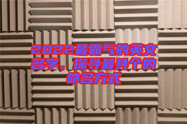 2022最霸氣的英文名字，探尋最具個的命名方式