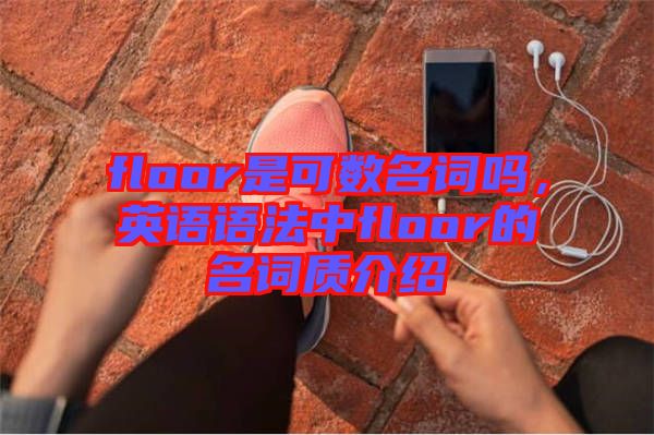 floor是可數名詞嗎，英語語法中floor的名詞質介紹