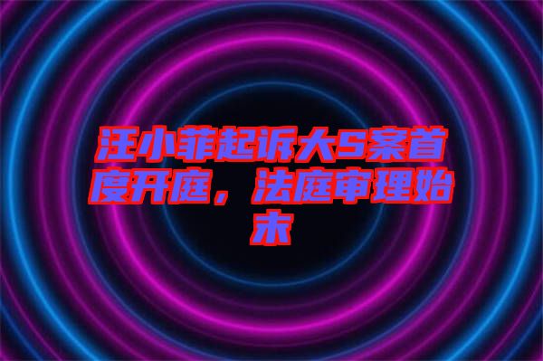 汪小菲起訴大S案首度開庭，法庭審理始末