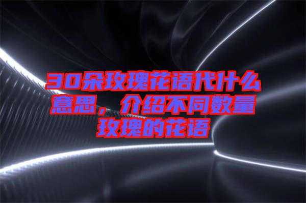 30朵玫瑰花語代什么意思，介紹不同數量玫瑰的花語