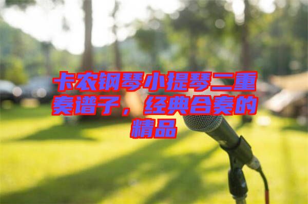 卡農鋼琴小提琴二重奏譜子，經典合奏的精品