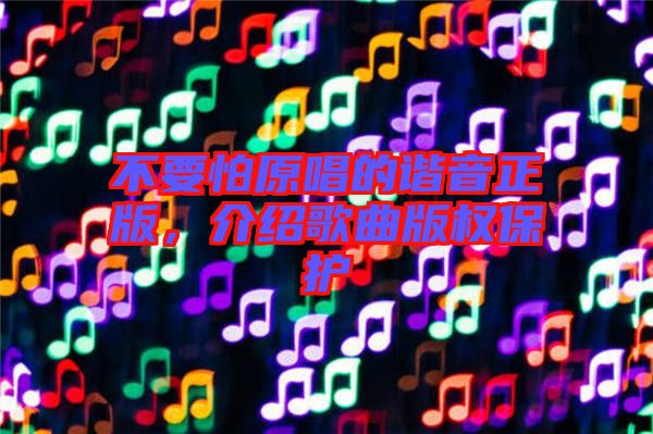 不要怕原唱的諧音正版，介紹歌曲版權(quán)保護(hù)