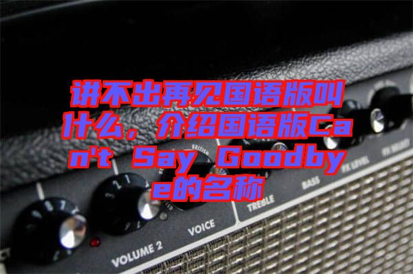 講不出再見國語版叫什么，介紹國語版Can't Say Goodbye的名稱