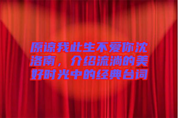 原諒我此生不愛你沈洛南，介紹流淌的美好時光中的經典臺詞