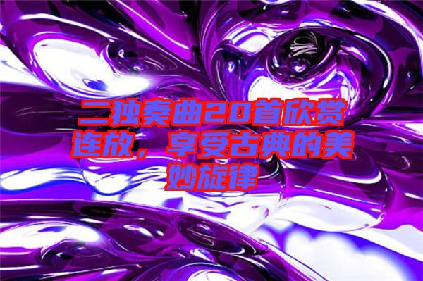 二獨(dú)奏曲20首欣賞連放，享受古典的美妙旋律