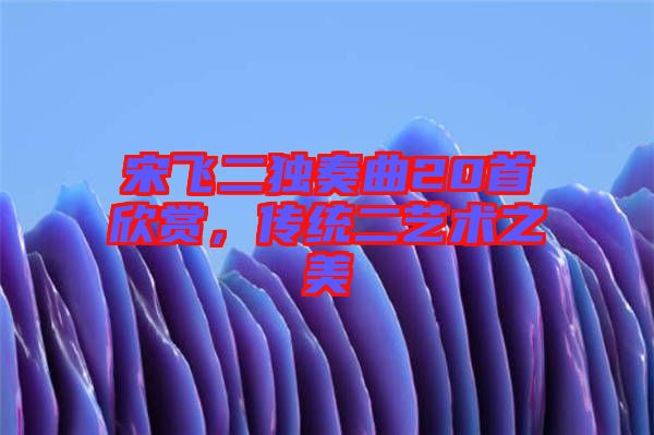宋飛二獨奏曲20首欣賞，傳統二藝術之美