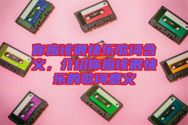 你應該很快樂歌詞含義，介紹你應該很快樂的歌詞意義