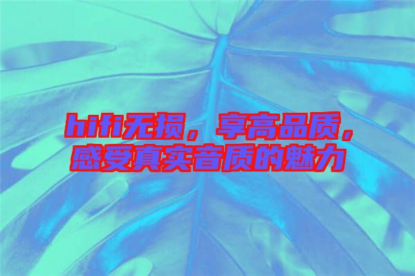 hifi無損，享高品質，感受真實音質的魅力
