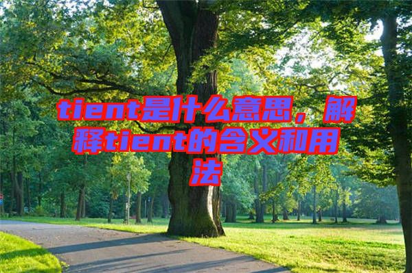 tient是什么意思，解釋tient的含義和用法