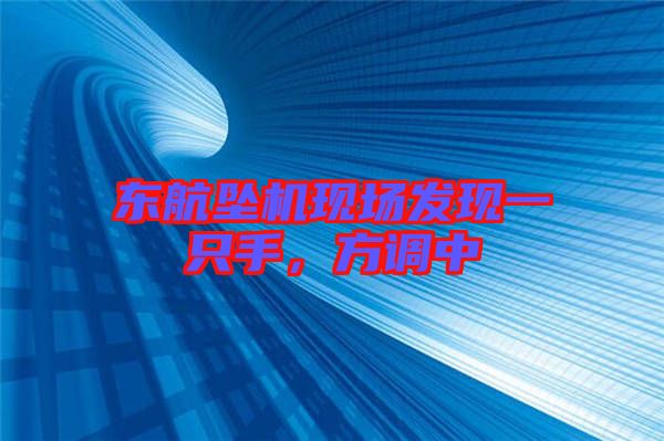 東航墜機現場發現一只手，方調中