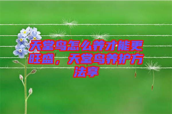 天堂鳥怎么養才能更旺盛，天堂鳥養護方法享
