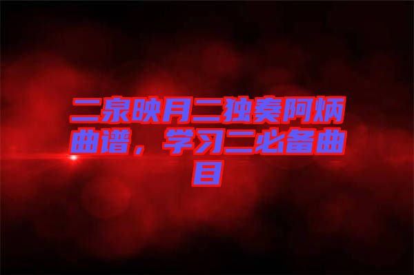 二泉映月二獨奏阿炳曲譜，學習二必備曲目