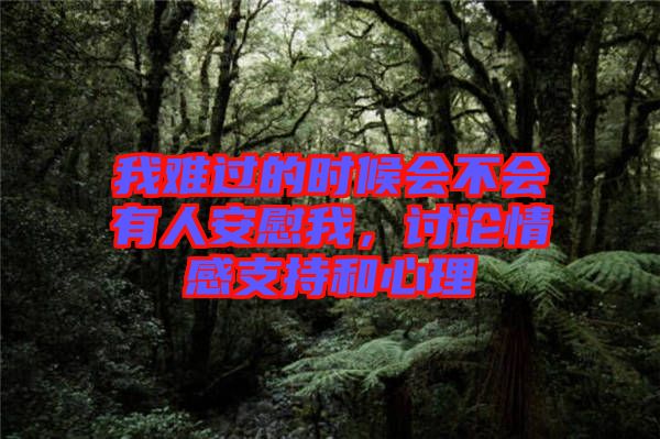 我難過的時候會不會有人安慰我，討論情感支持和心理