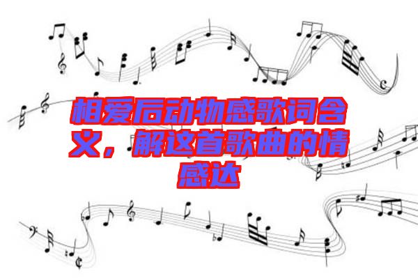 相愛后動物感歌詞含義，解這首歌曲的情感達