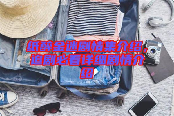 紙醉金迷劇情集介紹，追劇必看詳細劇情介紹