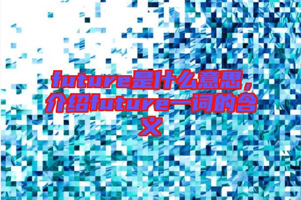 future是什么意思，介紹future一詞的含義