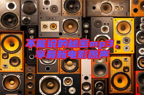 不能說的秘密mp3，享最新電影原聲