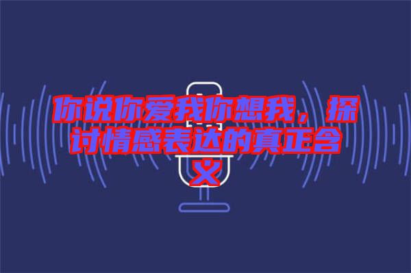 你說你愛我你想我，探討情感表達的真正含義