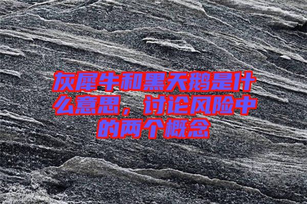 灰犀牛和黑天鵝是什么意思，討論風(fēng)險(xiǎn)中的兩個概念