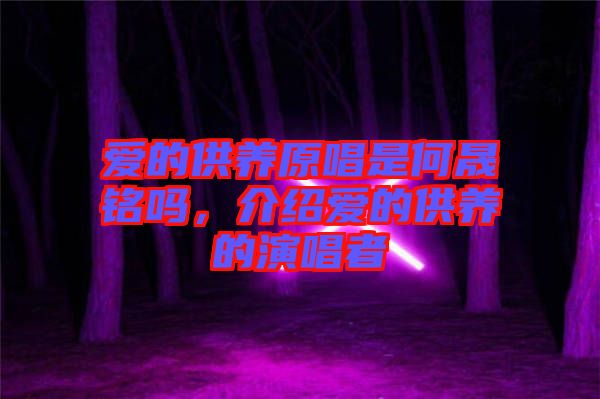 愛的供養(yǎng)原唱是何晟銘嗎，介紹愛的供養(yǎng)的演唱者