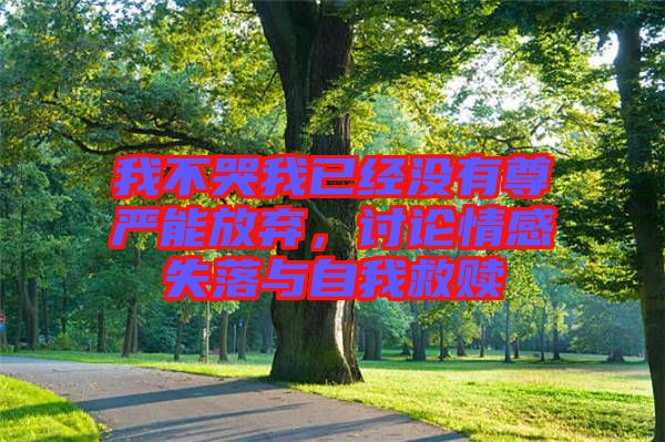 我不哭我已經沒有尊嚴能放棄，討論情感失落與自我救贖