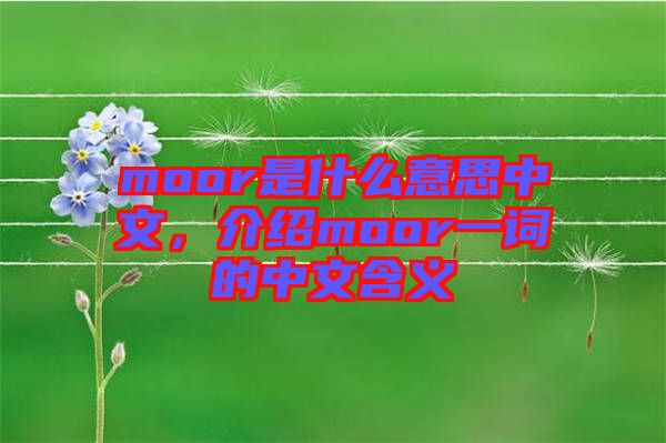 moor是什么意思中文，介紹moor一詞的中文含義