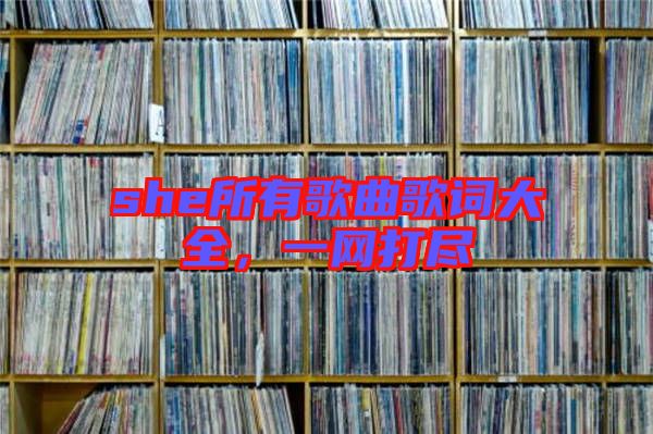 she所有歌曲歌詞大全，一網(wǎng)打盡