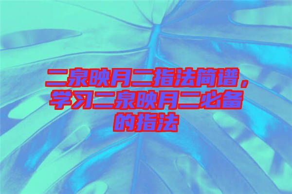 二泉映月二指法簡譜，學習二泉映月二必備的指法