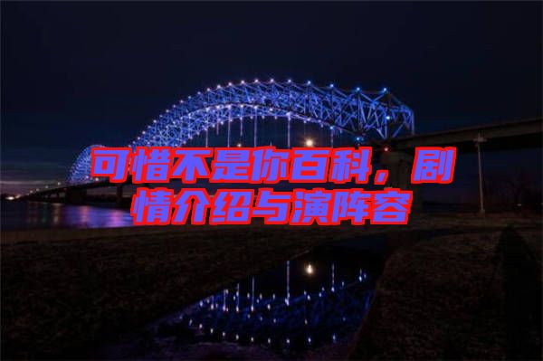 可惜不是你百科，劇情介紹與演陣容