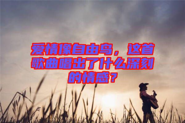 愛情像自由鳥，這首歌曲唱出了什么深刻的情感？