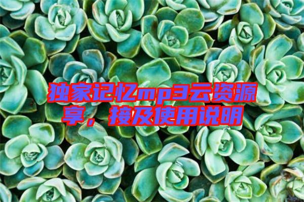 獨家記憶mp3云資源享，接及使用說明