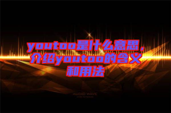youtoo是什么意思，介紹youtoo的含義和用法