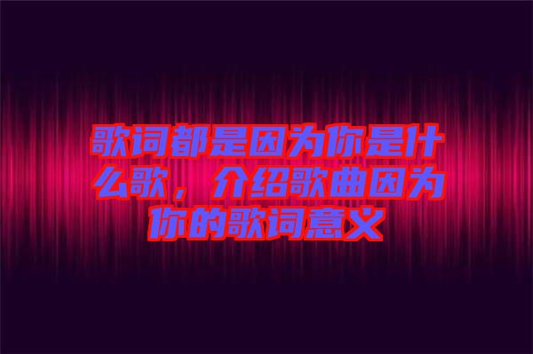 歌詞都是因為你是什么歌，介紹歌曲因為你的歌詞意義