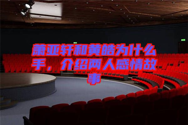 蕭亞軒和黃皓為什么手，介紹兩人感情故事