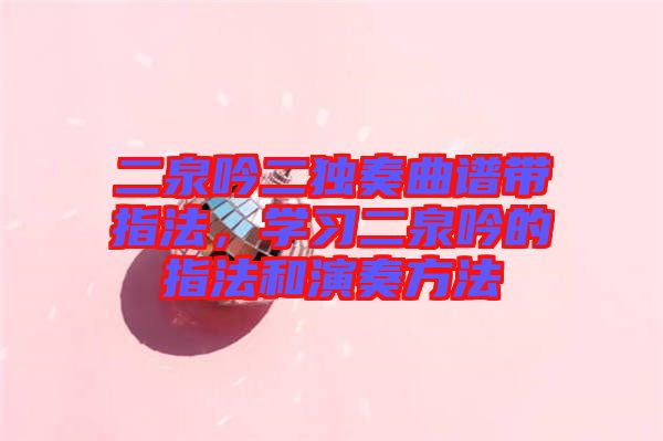 二泉吟二獨奏曲譜帶指法，學習二泉吟的指法和演奏方法