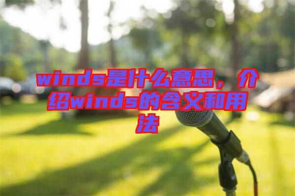 winds是什么意思，介紹winds的含義和用法