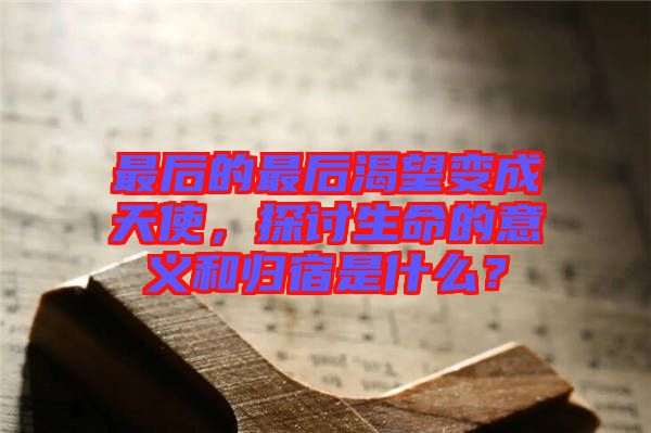 最后的最后渴望變成天使，探討生命的意義和歸宿是什么？