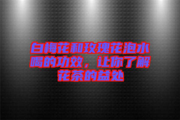 白梅花和玫瑰花泡水喝的功效，讓你了解花茶的益處