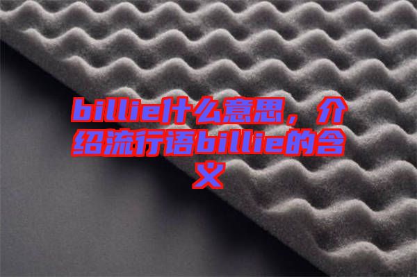 billie什么意思，介紹流行語billie的含義