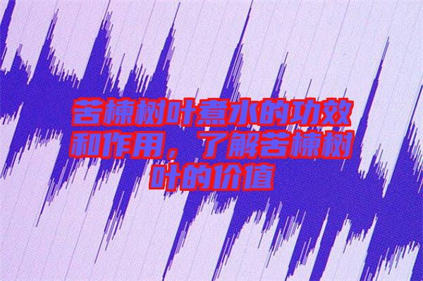 苦楝樹葉煮水的功效和作用，了解苦楝樹葉的價值