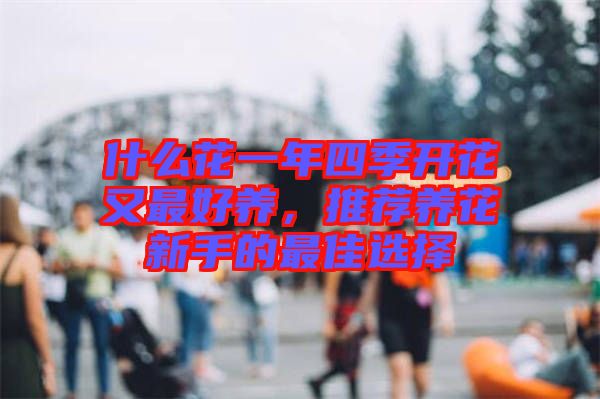什么花一年四季開花又最好養，推薦養花新手的最佳選擇
