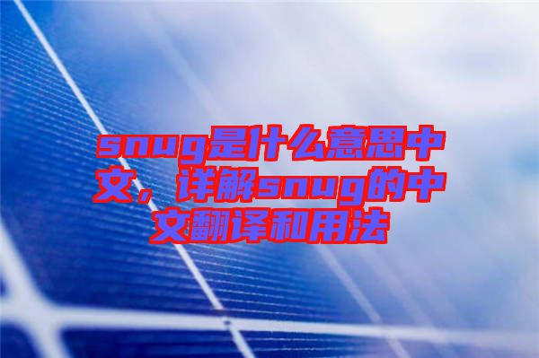 snug是什么意思中文，詳解snug的中文翻譯和用法