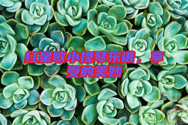 紅星歌小提琴樂譜，享受的美妙
