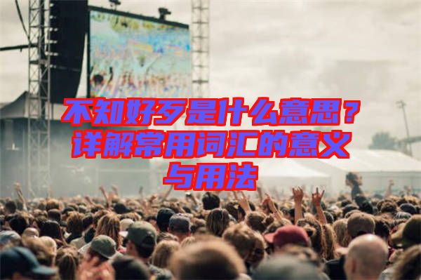 不知好歹是什么意思？詳解常用詞匯的意義與用法