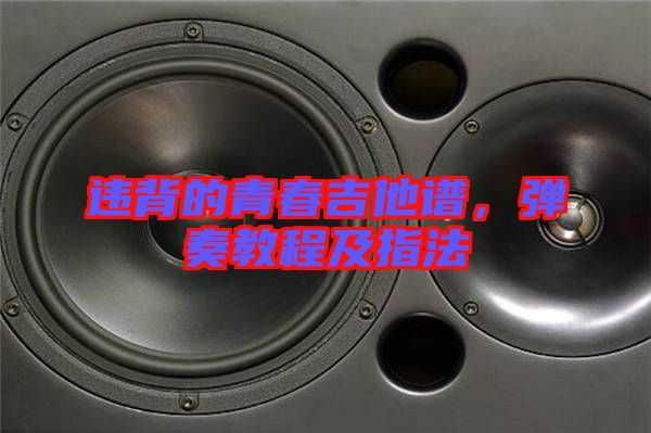 違背的青春吉他譜，彈奏教程及指法